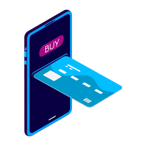 vanilla payment